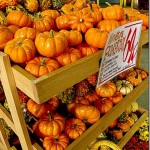 IMG_0933