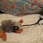 IMG_1983